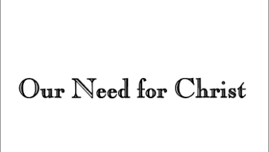 Our Need for Christ - Fr Matta el Meskeen