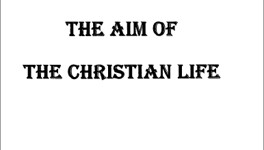 The Aim of the Christian Life - Fr Matta el Meskeen