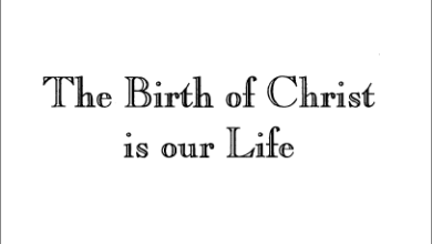 The Birth of Christ in our life - Fr Matta el Meskeen
