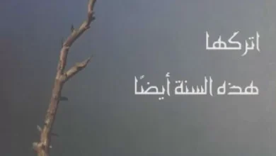 كتاب اتركها هذه السنة ايضا للراهب هرمينا البراموسي