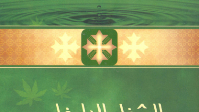 كتاب الشفاء الداخلي - الانبا يوسف