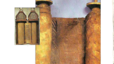 كتاب العهد القديم كما عرفته كنيسة الاسكندرية - دار مجلة مرقس