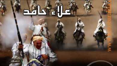 كتاب الغزو العربي لمصر - علاء حامد