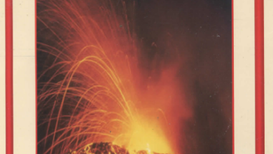 كتاب المسيحيون و ثوراتهم ضد الحكم العربي - تحقيق د جمال محمد ابو زيد - مراجعة ا د / انطون يعقوب ميخائيل