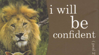 الكتيب الرائع - انا مطمئن - i will be confident - فيليب