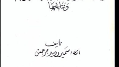 هجمات البربر على وادى النطرون