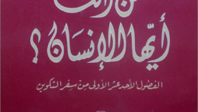 mn anta ayoha el ansan