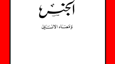 el gns wa m3nah el ansany
