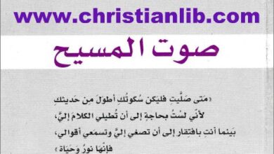 sot el masi7