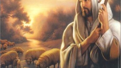 كتاب لا تخف ايها القطيع الصغير -  سلسلة التأملات اليومية -  دير العذراء سيدة البشارة للأقباط الكاثوليك