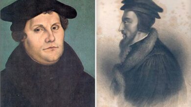 luther and calvin