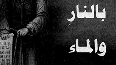 gozna blnar wl ma2