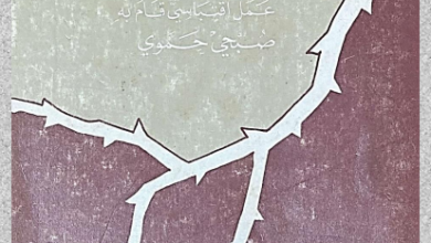 hawyt el masi7y