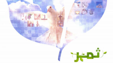 smr el ro7