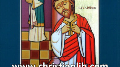 كتاب خطايا وجهالات صباي - الأنبا مكاريوس