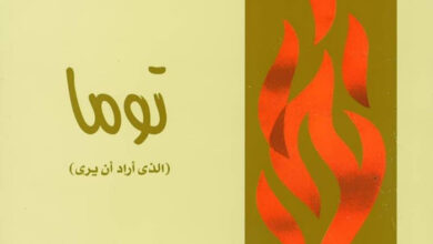 كتاب شباب ملتهب ج5 - توما (الذي أراد أن يرى) - وينكي براتني