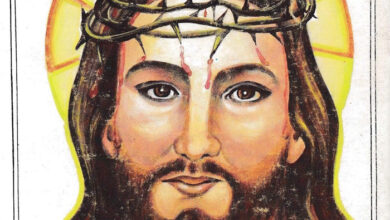 كتاب صلبوه ظافرا - راغب عبد النور
