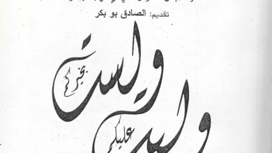 كتاب الصراع على السلطة وهاجس الشرعية في الإسلام المبكر - د. حياة عمامو
