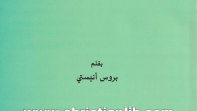 كتاب مصطلحات كتابية - بروس أنيستي