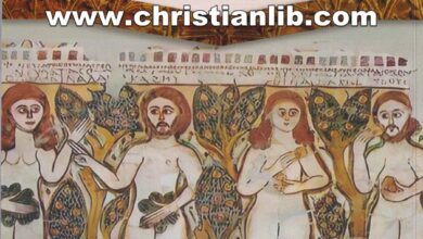كتاب خلقتني إنسانًا - من هو الإنسان؟ ولماذا خُلق؟ وكيف يرتقي إلى كمال وجوده؟ - سامر نبيل حنا